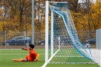 SGV Nürnberg-Fürth 1883 2 - FC Serbia Nürnberg (20.11.2021)