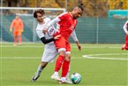 SGV Nürnberg-Fürth 1883 2 - FC Serbia Nürnberg (20.11.2021)