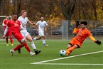 SGV Nürnberg-Fürth 1883 2 - FC Serbia Nürnberg (20.11.2021)