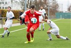 SGV Nürnberg-Fürth 1883 2 - FC Serbia Nürnberg (20.11.2021)