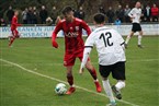 FC Herzogenaurach - FSV Stadeln (20.11.2021)