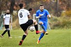 TSV Azzurri Südwest Nürnberg 2 - VfL Nürnberg 3 (21.11.2021)