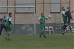 ASV Weinzierlein ll - SG Großhaslach/Petersaurach ll (21.11.2021)