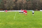 SG Puschendorf/Tuchenbach ll - TSV Franken Neustadt/Aisch ll (21.11.2021)