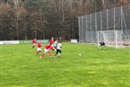 SG Puschendorf/Tuchenbach ll - TSV Franken Neustadt/Aisch ll (21.11.2021)