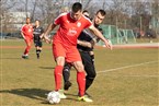 FC Serbia Nürnberg - ESV Flügelrad Nürnberg (20.03.2022)