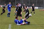 SF Laubendorf - TSV Langenzenn (31.03.2022)