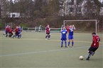 1. FC Trafowerk Nürnberg - TSV Altenberg 2 (10.04.2022)