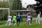 ASV Fürth - SC Germania Nürnberg (24.04.2022)