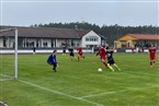 TSV Emskirchen - TSV Franken Neustadt/Aisch (24.04.2022)