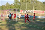 ASV Zirndorf - FC Wendelstein (27.07.2022)