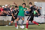 1. FC Kalchreuth - TSV Neunkirchen am Brand (11.08.2022)