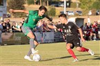 1. FC Kalchreuth - TSV Neunkirchen am Brand (11.08.2022)