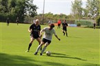 DJK Nürnberg-Eibach II gegen DJK Concordia Fürth (13.08.2022)