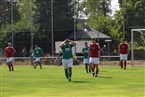 (SG) Eintracht Falkenheim - VfL Nürnberg (14.08.2022)