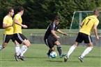 SC Adelsdorf - 1. FC Kalchreuth (27.08.2022)