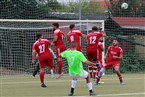 ASV Fürth 2 - Türk FK Gostenhof Nürnberg (28.08.2022)