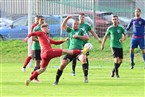 TSV Greding - ASV Zirndorf (31.08.2022)