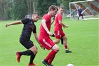 FSV Stadeln 2 - SV Losaurach (11.09.2022)