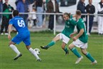 Turnerschaft Fürth - ASV Veitsbronn-Siegelsdorf (25.09.2022)