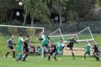 TSV Flachslanden - 1. FV Uffenheim 2 (25.09.2022)