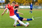 SG Quelle Fürth - SV Seligenporten (08.10.2022)