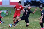 ASV Zirndorf - SV Sportfreunde Dinkelsbühl (08.10.2022)