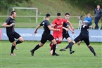 ASV Zirndorf - SV Sportfreunde Dinkelsbühl (08.10.2022)