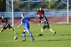 TSV Langenzenn - TSV Franken Neustadt/Aisch (09.10.2022)