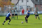 ASC Boxdorf - TSV Johannis 83 Nürnberg (16.10.2022)