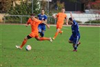 TSV Altenberg - FC Bosna Nürnberg (23.10.2022)