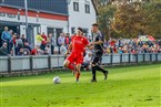 FSV Stadeln - SV Buckenhofen (29.10.2022) 