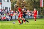 FSV Stadeln - SV Buckenhofen (29.10.2022) 