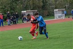 FC Serbia Nürnberg - TSV Azzurri Südwest Nürnberg (06.11.2022)