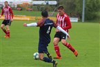 TSV Buch 3 - ASV Buchenbühl (06.11.2022)