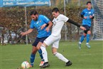 SGV Nürnberg-Fürth 1883 2 - TSV Azzurri Südwest Nürnberg (12.11.2022)