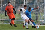 SGV Nürnberg-Fürth 1883 2 - TSV Azzurri Südwest Nürnberg (12.11.2022)