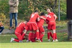 FSV Stadeln - TSV Buch (12.11.2022)