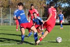 SpVgg Mögeldorf 2000 Nürnberg - ATSV Erlangen 2 (13.11.2022)