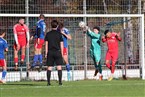 SpVgg Mögeldorf 2000 Nürnberg - ATSV Erlangen 2 (13.11.2022)