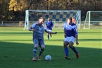 FC Stein - TSV Zirndorf (13.11.2022)