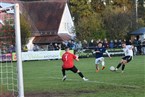 SF Laubendorf - TSV Burgfarrnbach (13.11.2022)