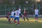 FC Serbia Nürnberg - SV Wacker Nürnberg (13.11.2022)
