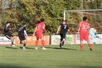 1. FC Kalchreuth - Türkspor Nürnberg (13.11.2022)