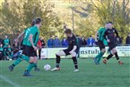 SV Neuhof/Zenn - SV Losaurach (13.11.2022)