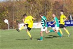 SV Neuhof/Zenn 2 - SV Losaurach 2 (13.11.2022)