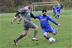 DJK BFC Nürnberg - (SG) Türkspor Nürnberg/Reichelsdorf 2 (27.11.2022)