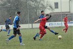 FSV Erlangen-Bruck - FSV Stadeln (25.02.2023)