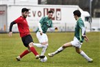 FV 99 Kleeblatt Fürth - (SG) Eintracht Falkenheim (12.03.2023)