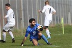 Türk FK Gostenhof Nürnberg - ASV Fürth 2 (19.03.2023)